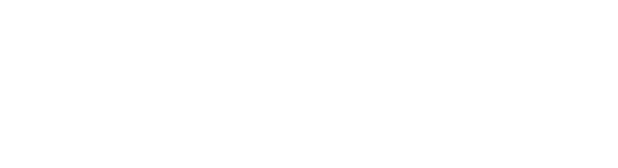 DATASYNEX